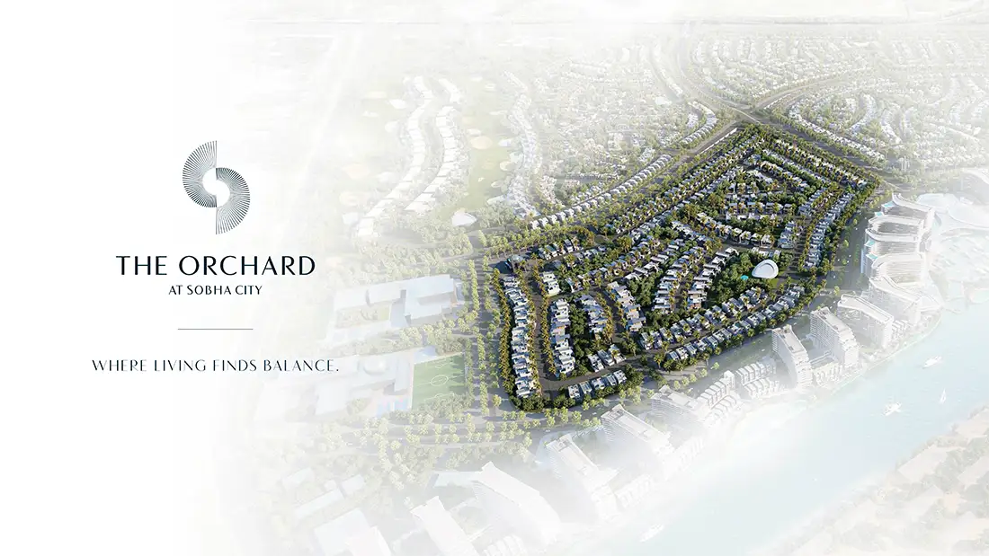 The Orchard Master Plan